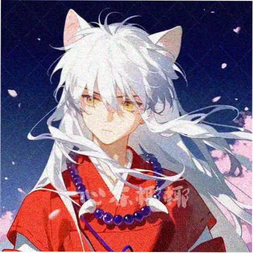 黑猫使者